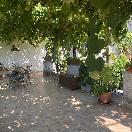 Alloggio Turistico La Stalla Tuscania Eksteriør bilde